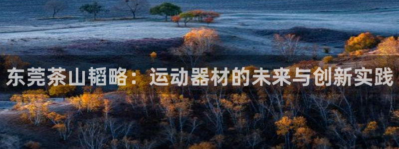 三亿体育官网下载平台注册流程图：东莞茶山韬略：运动器