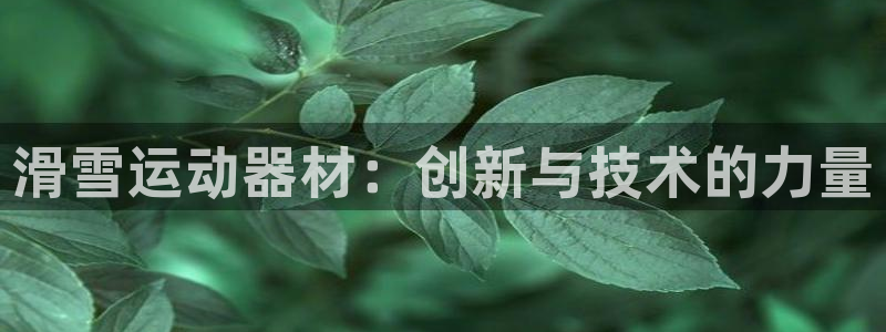 三亿体育官网下载招商：滑雪运动器材：创新与技术的力量