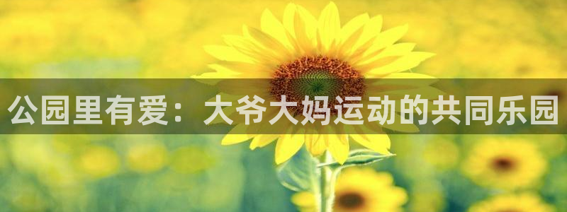 注册三亿体育官方正版app：公园里有爱：大爷大妈运动