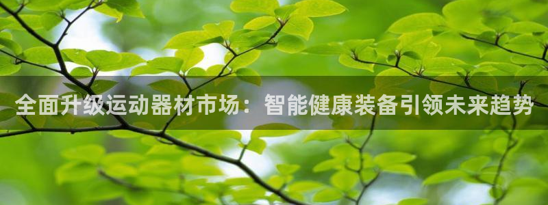 三亿体育官方正版app科技：全面升级运动器材市场：智