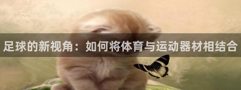 三亿体育官方正版app代理：足球的新视角：如何将体育与运动器