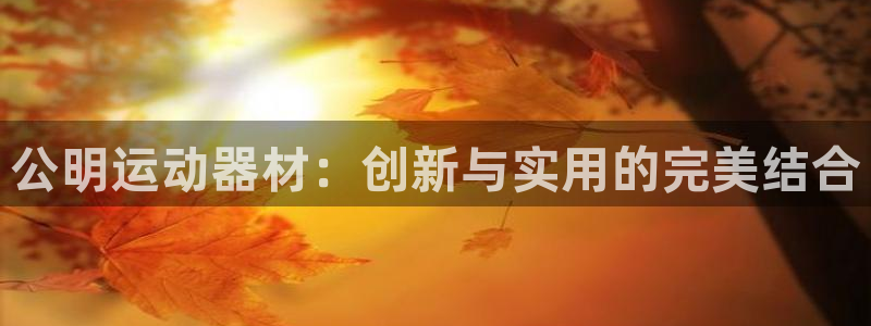 三亿体育官网下载招商电话是多少啊：公明运动器材：创新与实用的