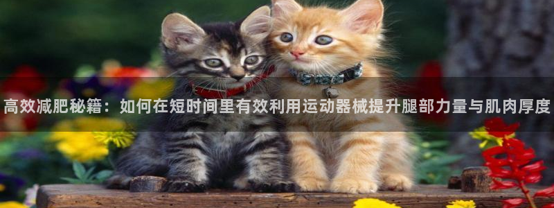 三亿体育官方正版app娱乐是那个系列的台子：高效减肥