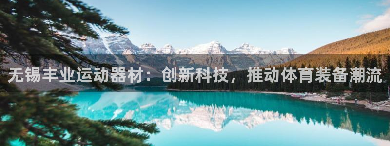三亿体育官方正版app集团：无锡丰业运动器材：创新科