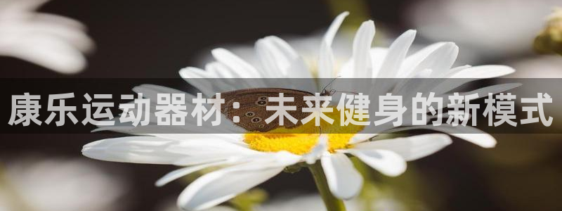 三亿体育官方正版app娱乐下载：康乐运动器材：未来健