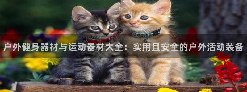 三亿体育官方正版app集团logo：户外健身器材与运动器材大