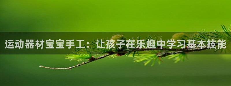 三亿体育官方正版app神州：运动器材宝宝手工：让孩子在乐趣中