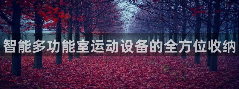 三亿体育官网下载招商电话号码是多少：智能多功能室运动设备的全