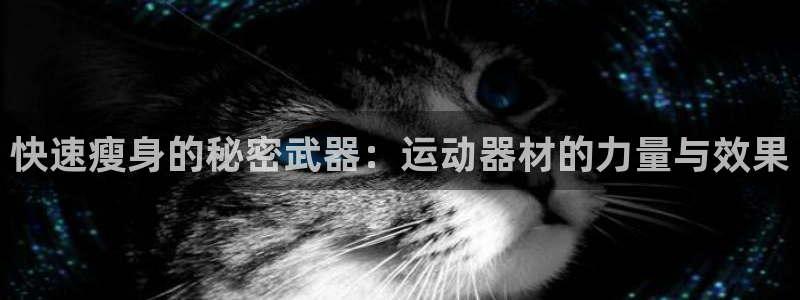 海南三亿体育官网下载发展怎么样：快速瘦身的秘密武器：