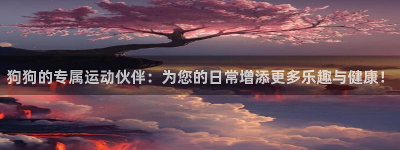 三亿体育官网下载平台注册要钱吗是真的吗：狗狗的专属运动伙伴：