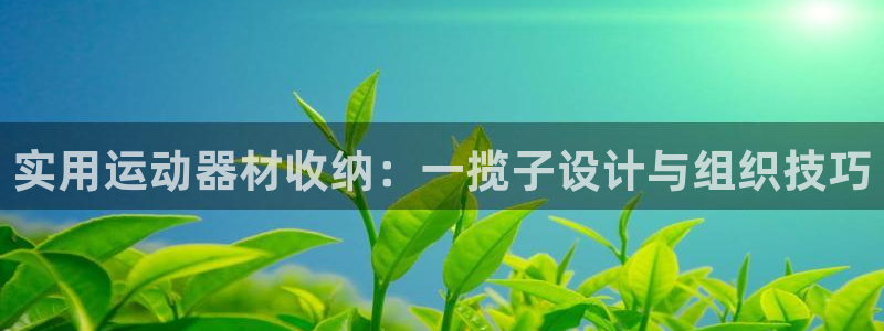 三亿体育官网下载平台是正规平台吗安全吗：实用运动器材收纳：一