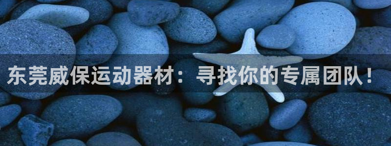 三亿官方集团官网：东莞威保运动器材：寻找你的专属团队