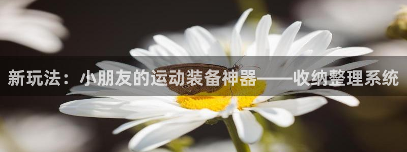 德国三亿体育官方正版app集团：新玩法：小朋友的运动