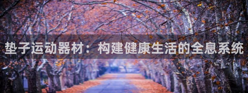 三亿体育官网下载注册：垫子运动器材：构建健康生活的全息系统