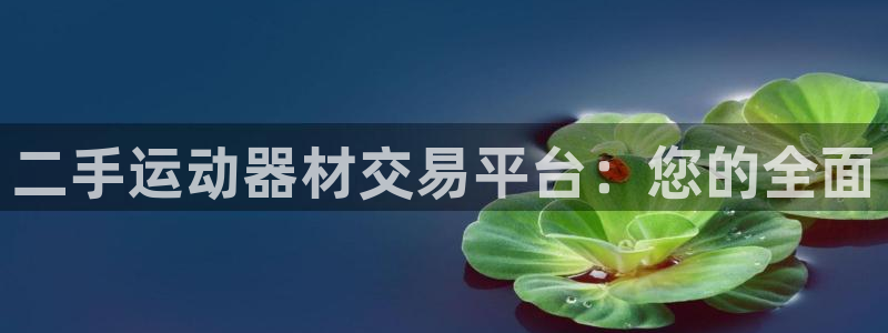 三亿体育官网下载招商电话地址查询：二手运动器材交易平台：您的