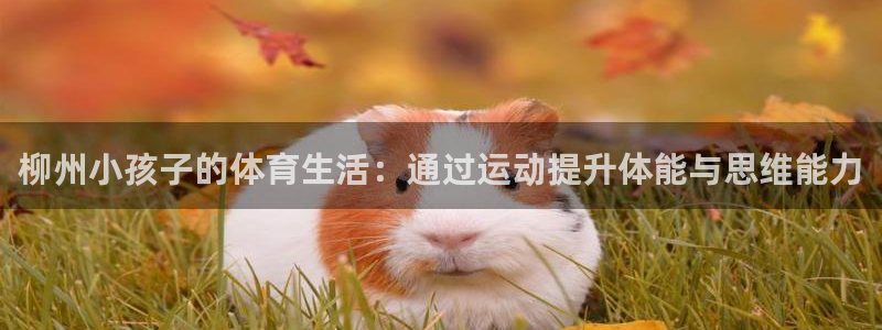 哈哈体育下载