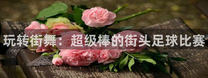 哈哈体育十年