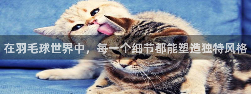 哈哈体育下载