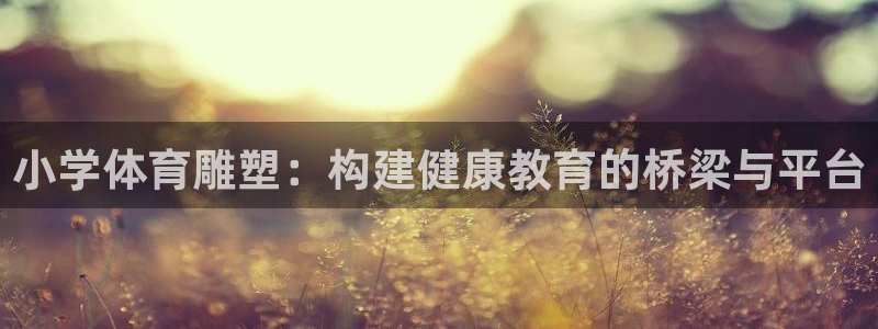 哈哈体育下载