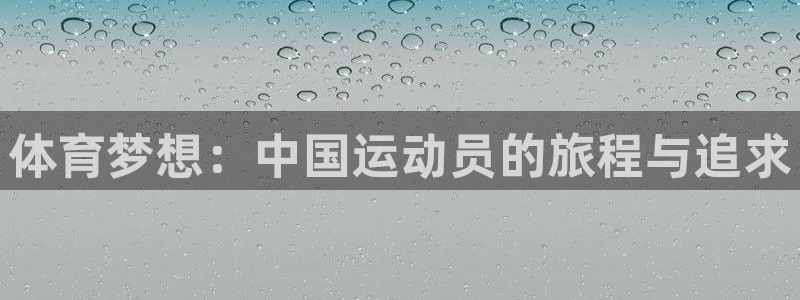 哈哈体育十年