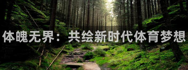 哈哈体育十年
