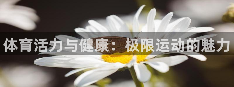 哈哈体育下载