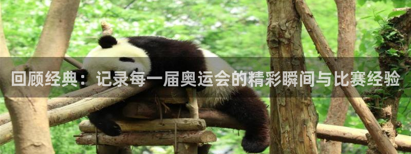 哈哈体育十年