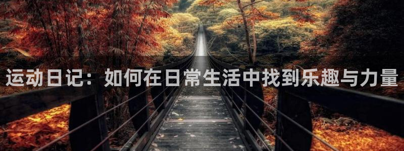 哈哈体育下载