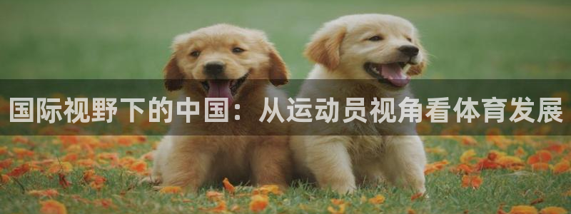 哈哈体育下载