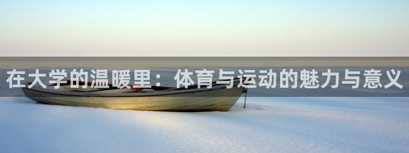 哈哈体育十年